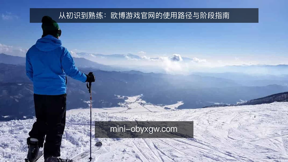 从初识到熟练:欧博游戏官网的使用路径与阶段指南